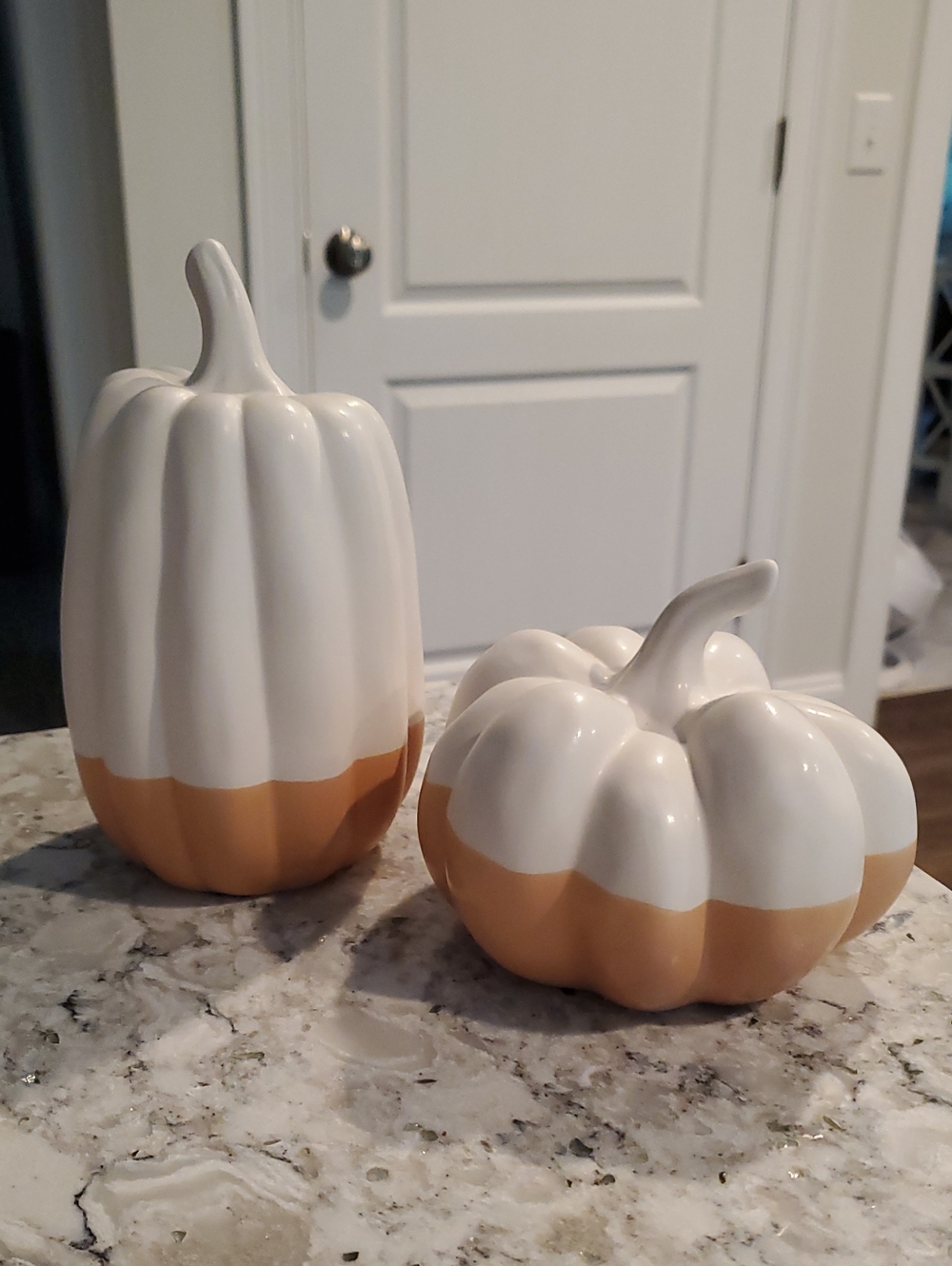 Target White and Tan Ceramic Pumpkin Decor Set